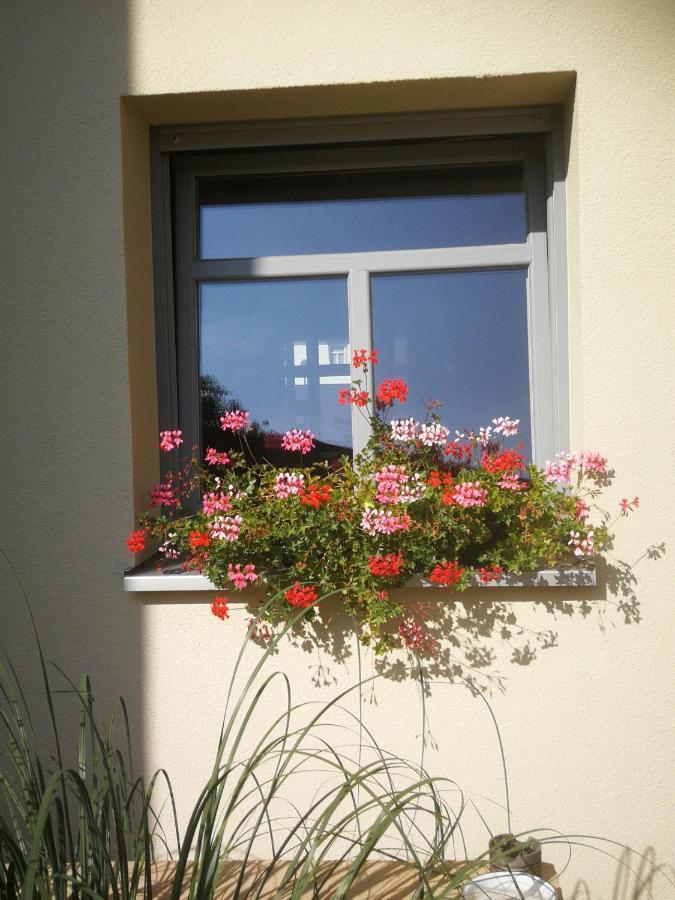 Appartementhaus Nienburg Ngoại thất bức ảnh